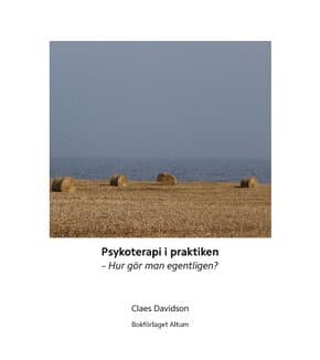 Psykoterapi i praktiken : hur gör man egentligen?