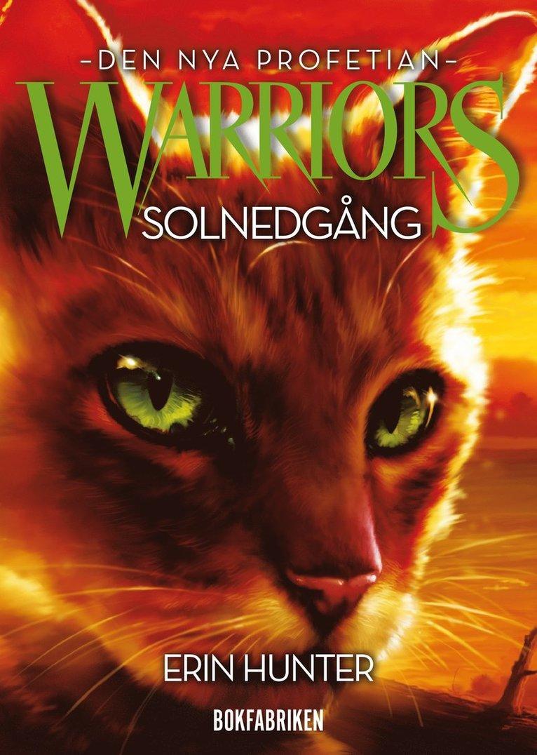 Warriors 2. Solnedgång
