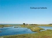 Enslingen på Saltholm