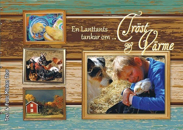 En lanttants tankar om Tröst & Värme