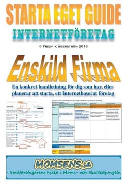 Starta Eget Guide : Internetföretag