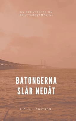 Batongerna slår nedåt: En berättelse om brottsbekämpning