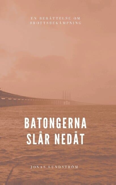 Batongerna slår nedåt: En berättelse om brottsbekämpning