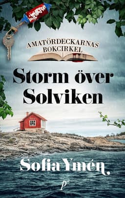 Storm över Solviken