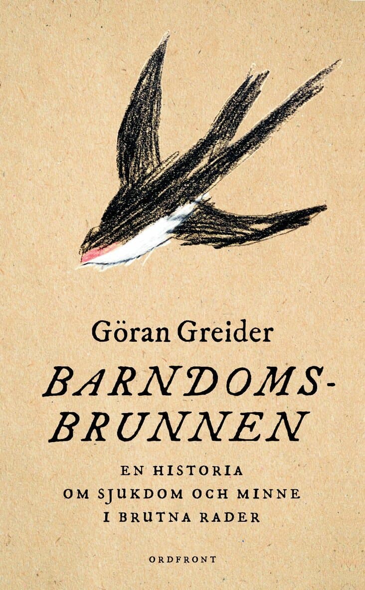 Omslag till boken Barndomsbrunnen : en historia om sjukdom och minne i brutna rader av Göran Greider