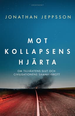 Mot kollapsens hjärta : om tillväxtens slut och civilisationens sammanbrott