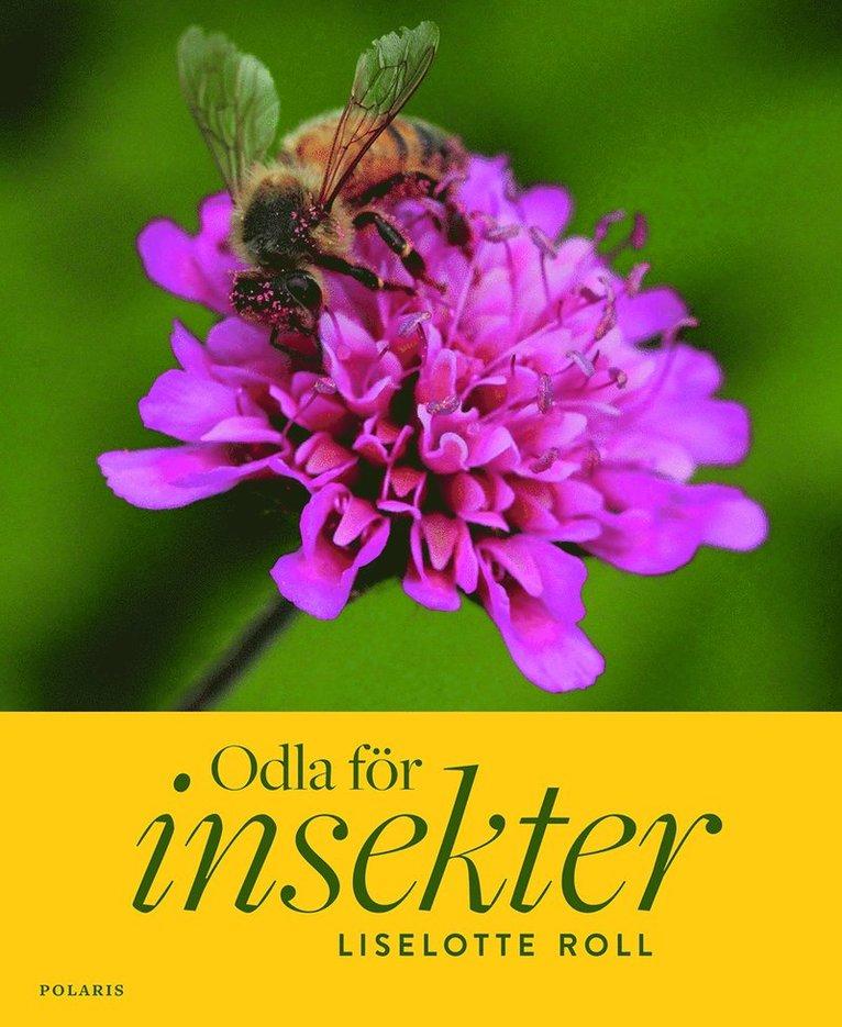 Odla för insekter