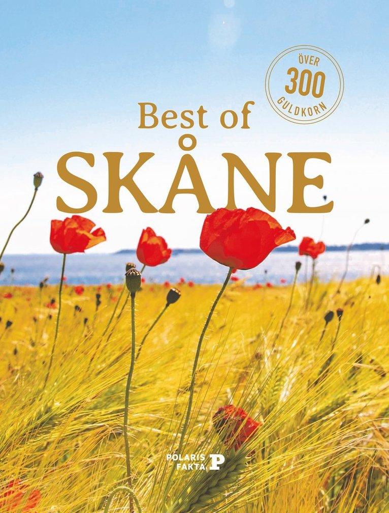 Best of Skåne : över 300 guldkorn