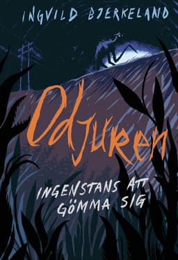 Ingenstans att gömma sig