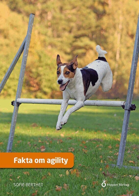 Fakta om agility