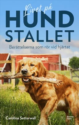 Livet på Hundstallet : berättelserna som rör vid hjärtat