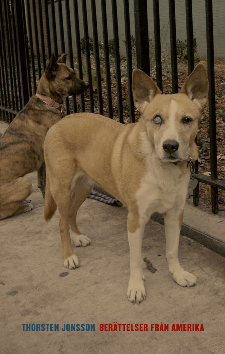 Berättelser från Amerika