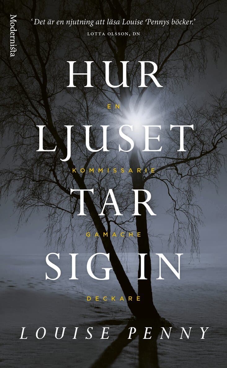 Omslag till boken Hur ljuset tar sig in av Louise Penny