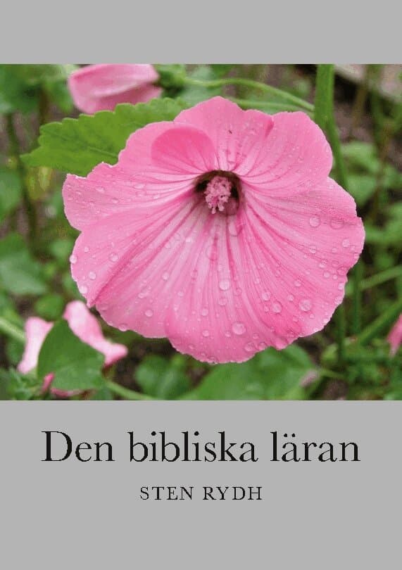 Den bibliska läran : en sammanfattning av den evangelisk-lutherska kyrkans tro och bekännelse