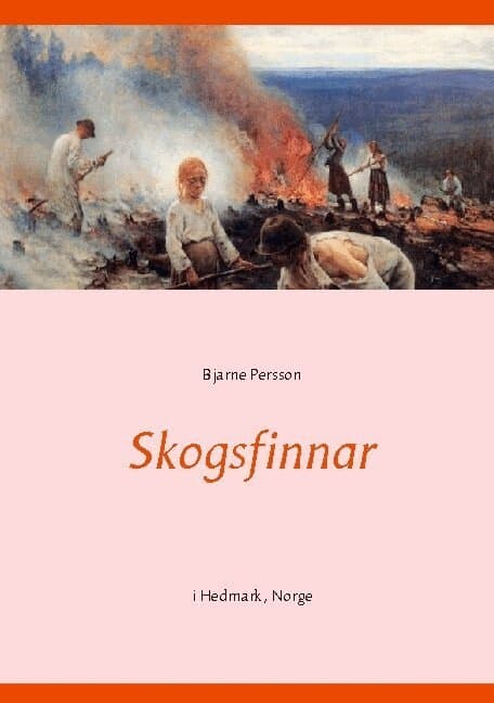 Skogsfinnar: i Hedmark, Norge