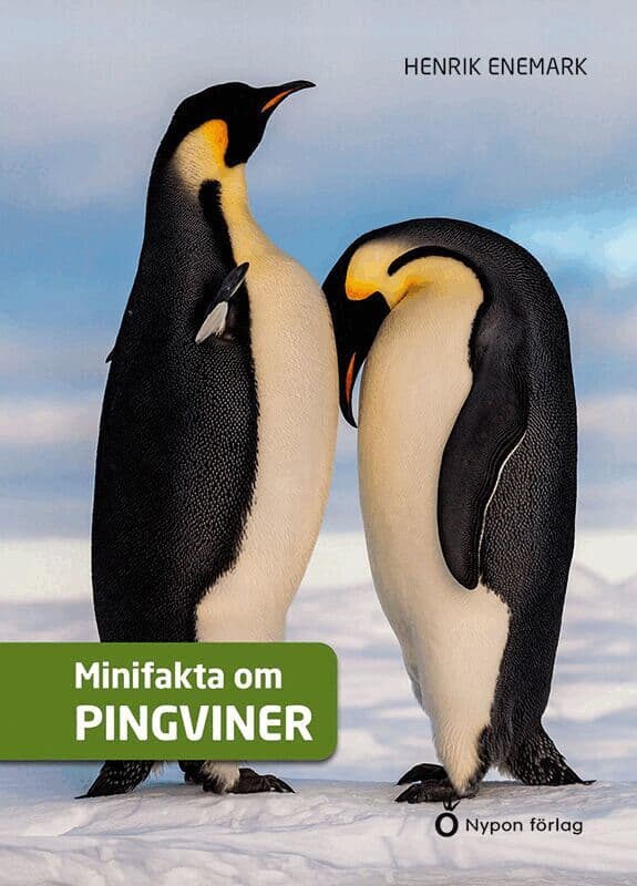 Minifakta om pingviner