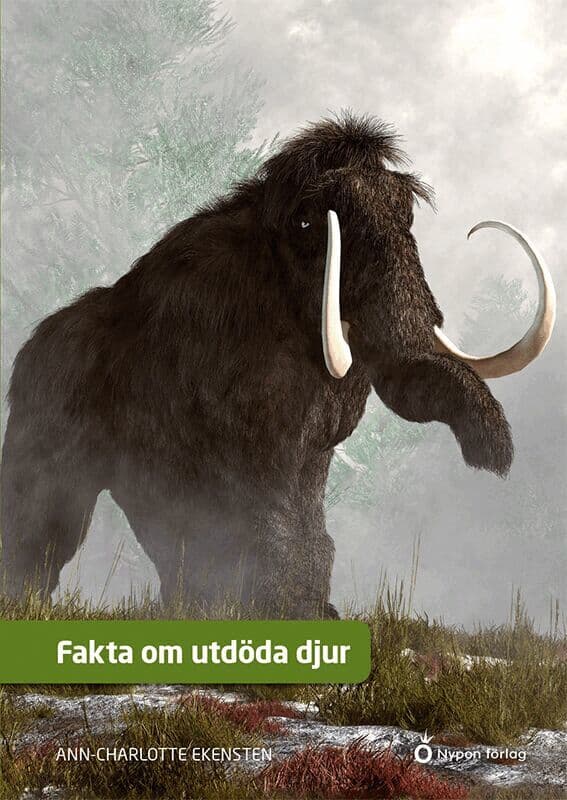 Dunka plåt