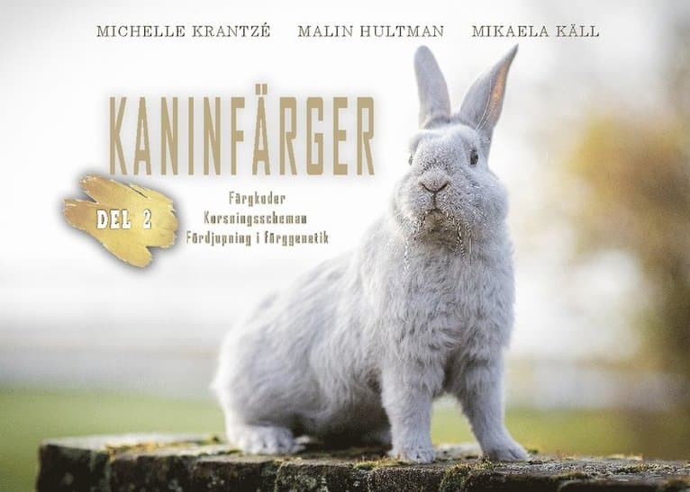 Kaninfärger. Del 2, Färgkoder, korsningsscheman, fördjupning i färggenetik