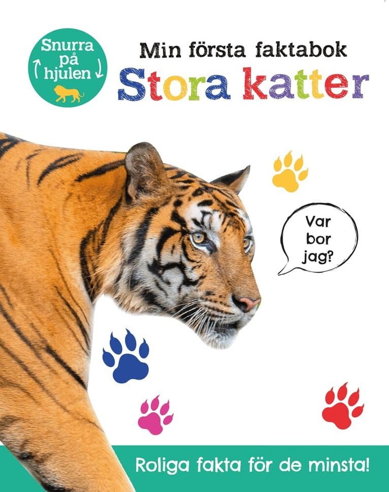Min första faktabok : stora katter