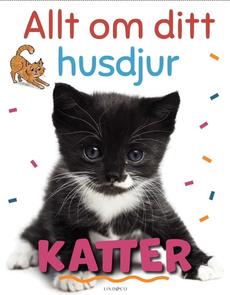 Allt om ditt husdjur. Katter