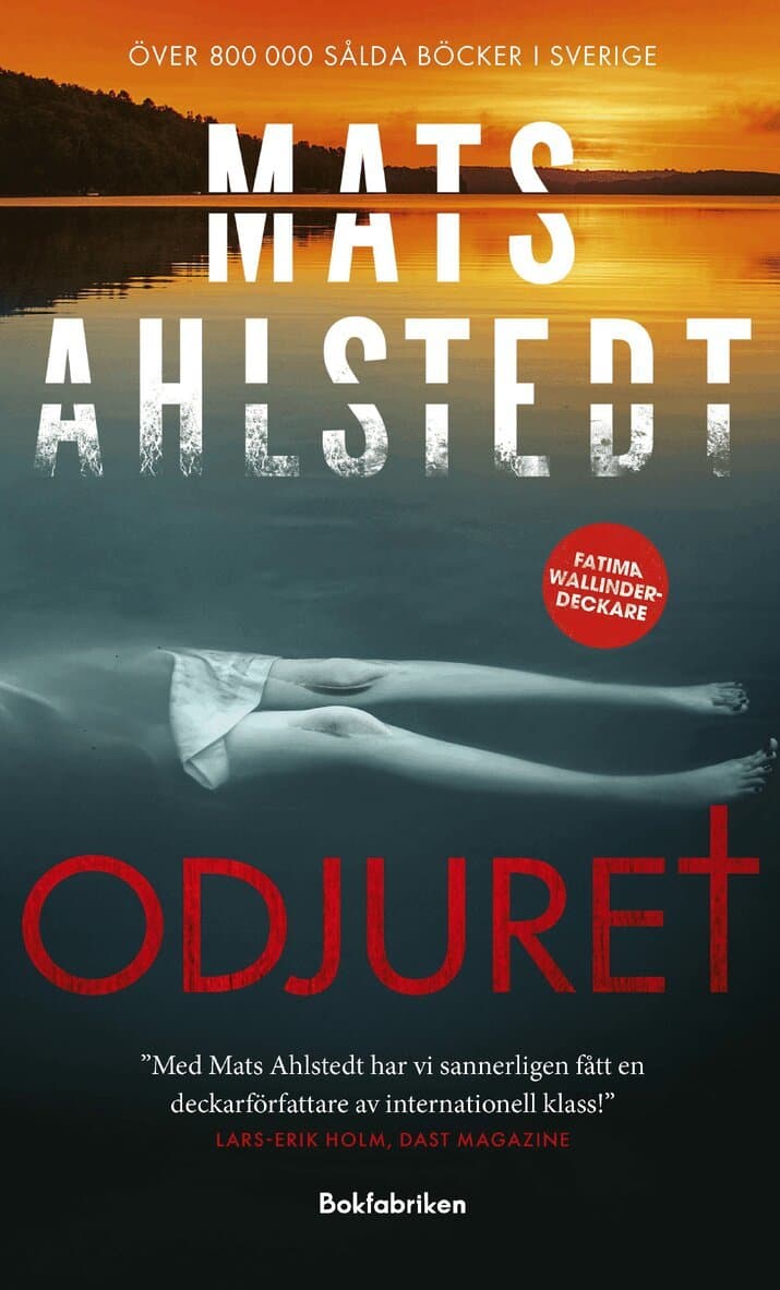 Omslag till boken Odjuret av Mats Ahlstedt