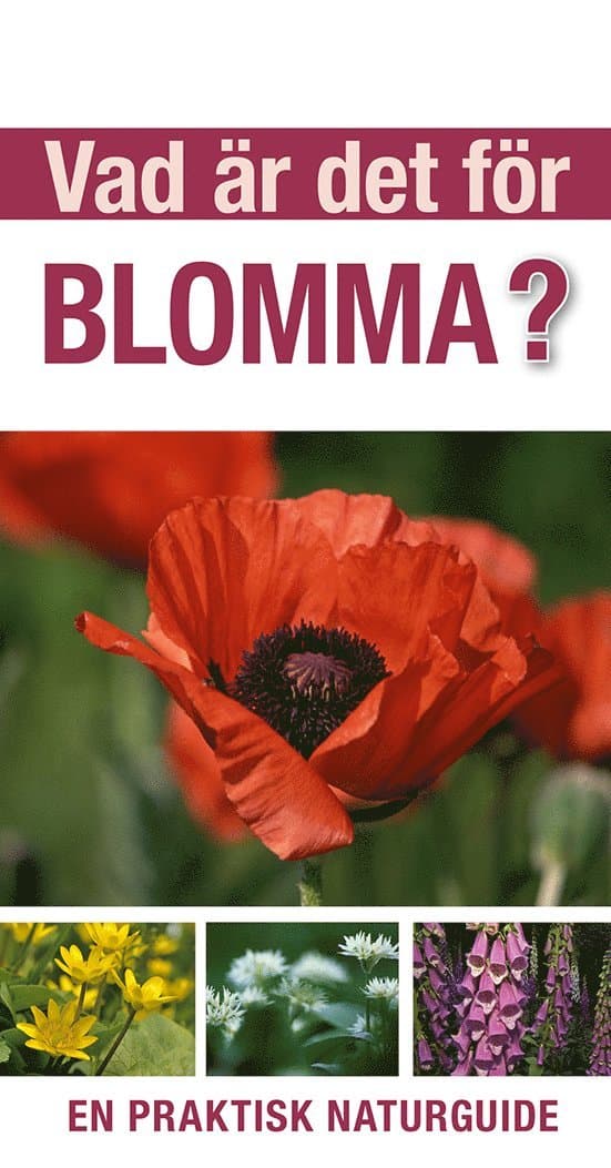 Vad är det för blomma? : en praktisk naturguide