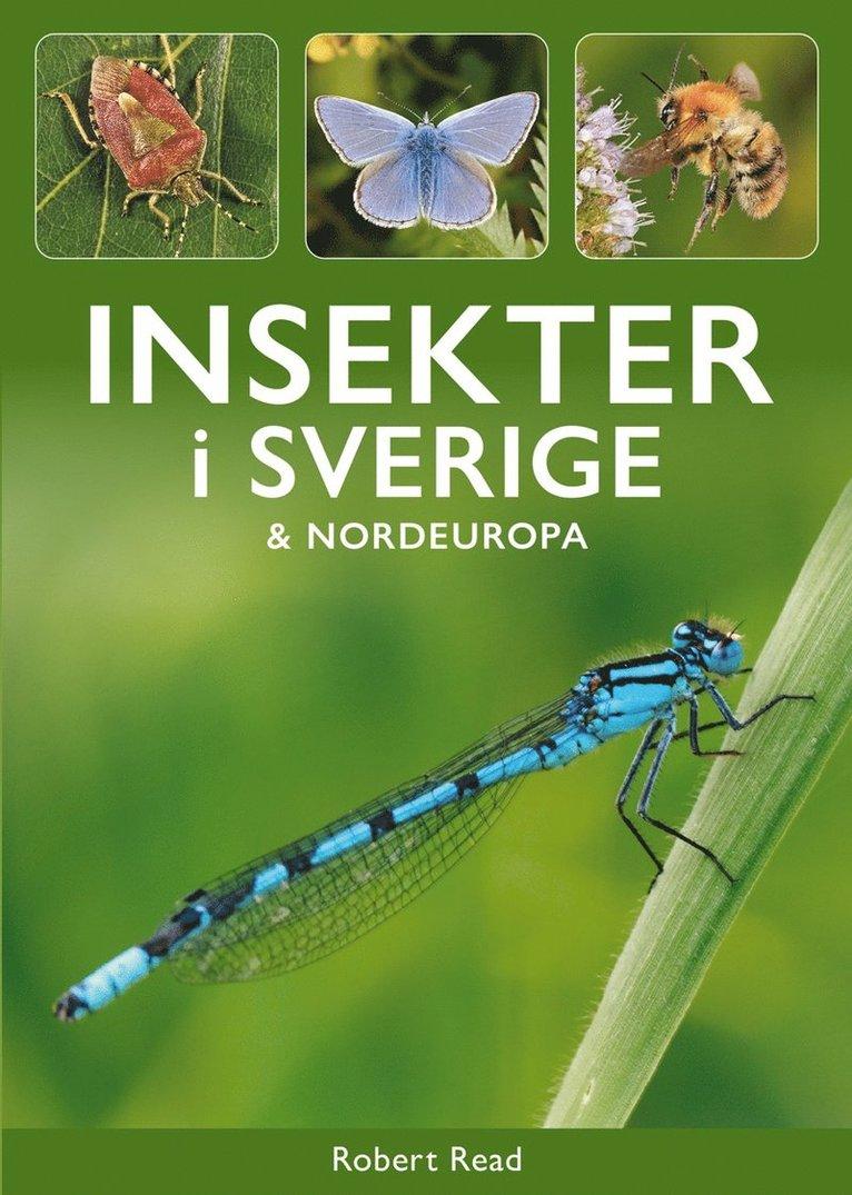 Insekter i Sverige och Nordeuropa