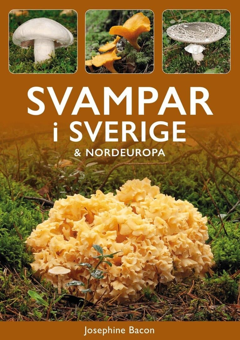 Svampar i Sverige och Nordeuropa