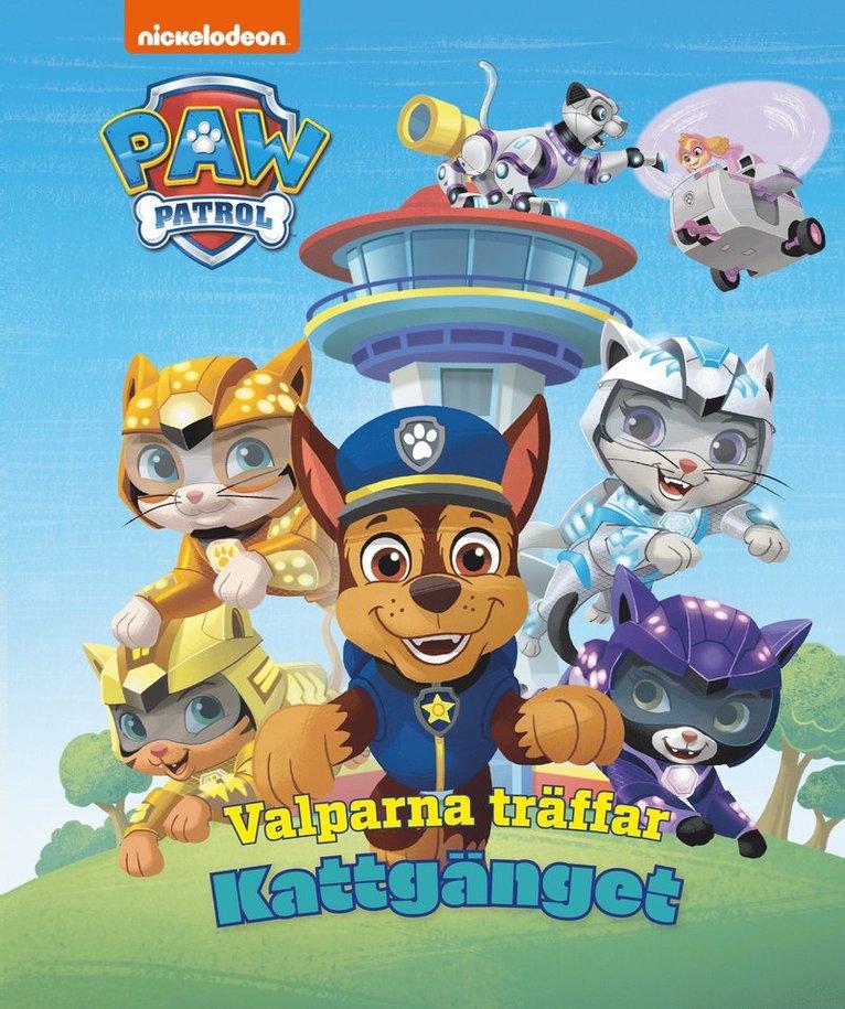 Valparna träffar Kattgänget