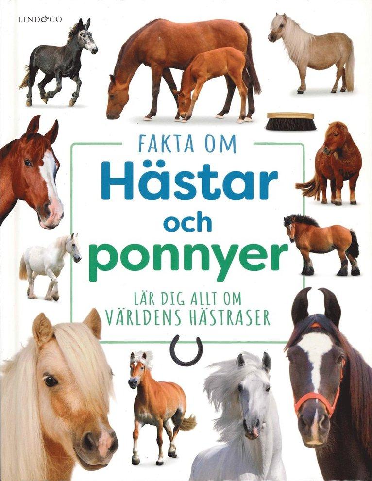 Fakta om hästar och ponnyer : Lär dig allt om världens hästraser