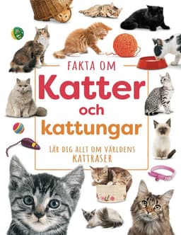 Fakta om katter och kattungar : lär dig allt om världens kattraser