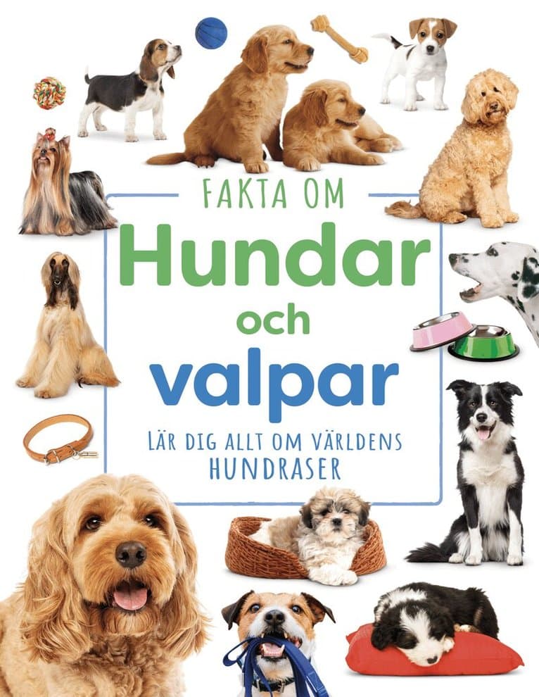 Fakta om hundar och valpar : lär dig allt om världens hundraser