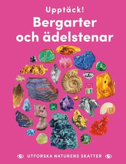 Upptäck bergarter och ädelstenar : utforska naturens skatter