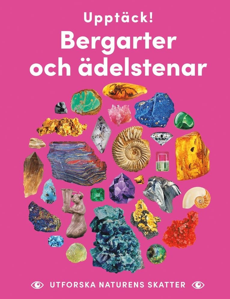 Upptäck bergarter och ädelstenar : utforska naturens skatter