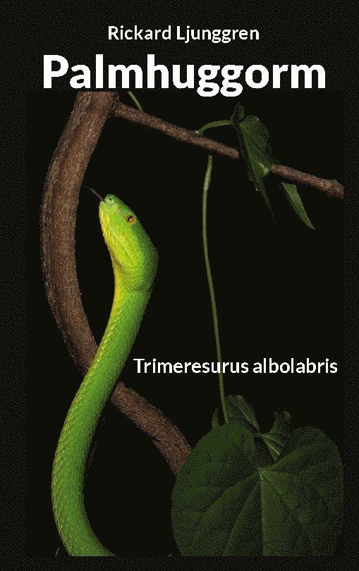 Palmhuggorm: Trimeresurus albolabris