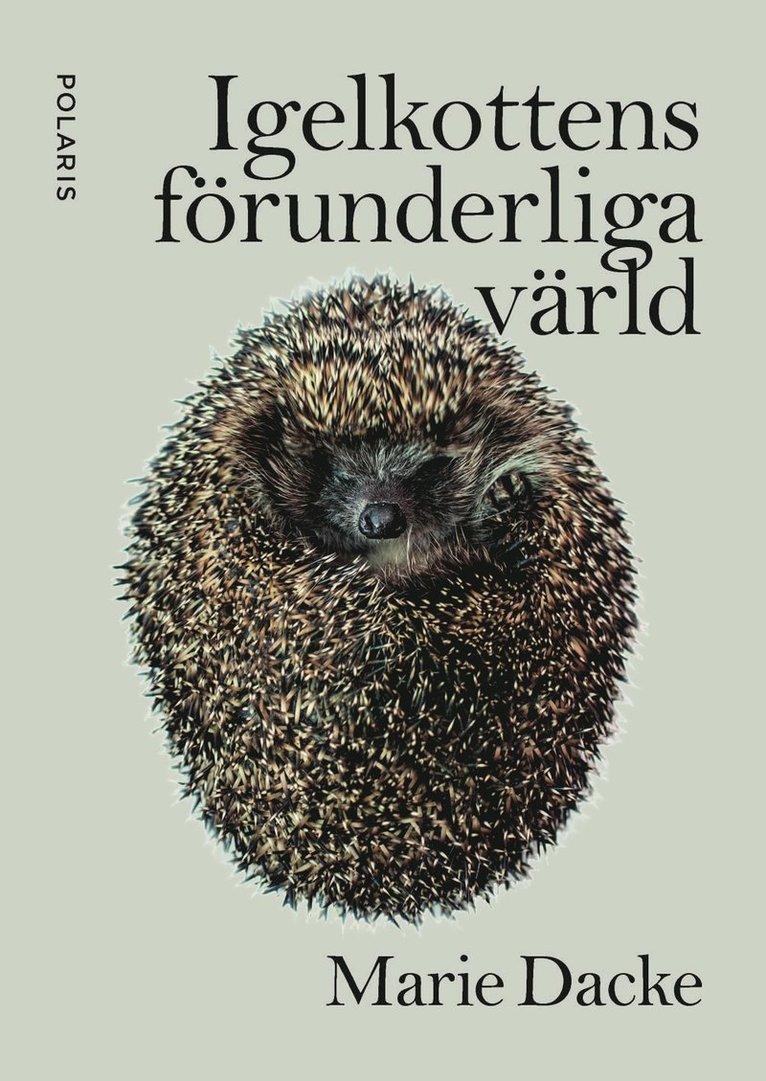 Igelkottens förunderliga värld