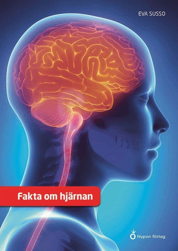 Fakta om hjärnan