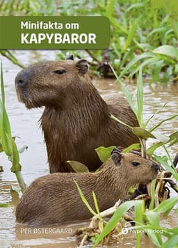 Minifakta om kapybaror