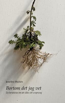 Bortom det jag vet: En berättelse om att söka sitt ursprung