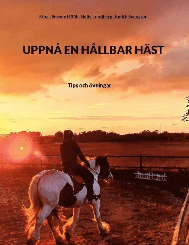 Uppnå en hållbar häst : tips och övningar
