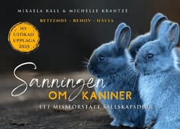 Sanningen om kaniner : ett missförstått sällskapsdjur