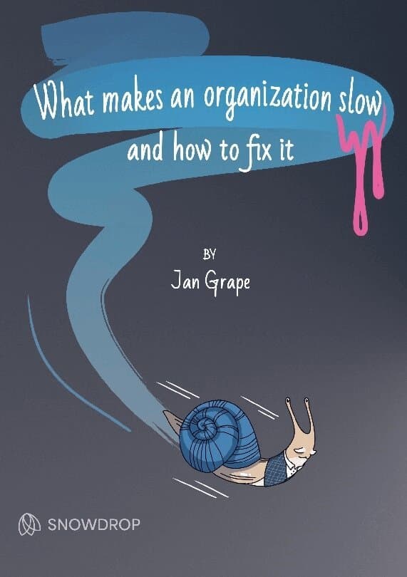 What makes an organization slow and how to fix it