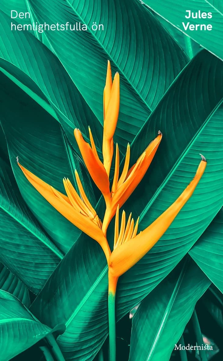 Den hemlighetsfulla ön