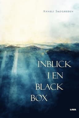 Inblick i en black box