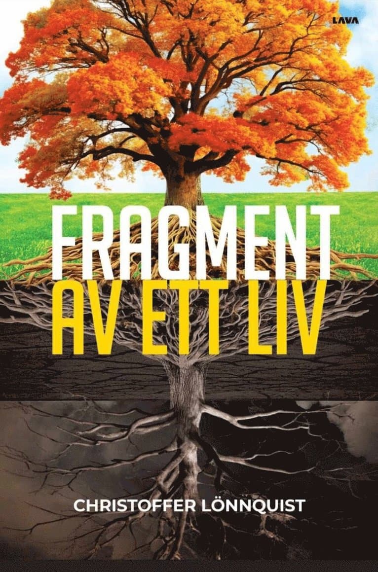 Fragment av ett liv