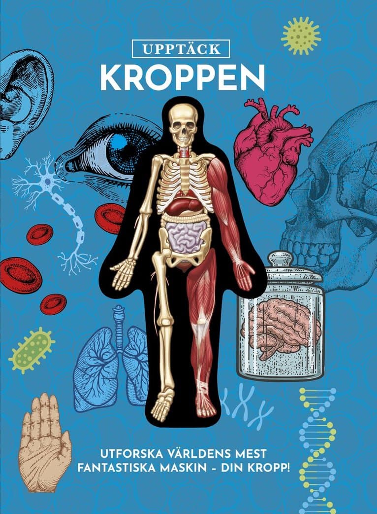 Upptäck kroppen : Utforska världens mest fantastiska maskin - din kropp!
