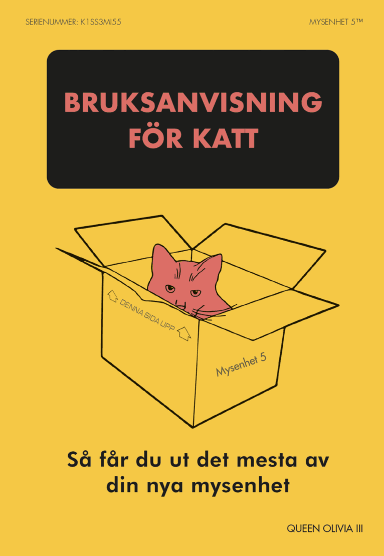 Bruksanvisning för katt : så får du ut det mesta av din nya mysenhet