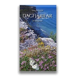 Dagfjärilar en fältguide