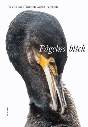 Fågelns blick