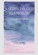 Natten då Gud blundade : Vidingeolyckan